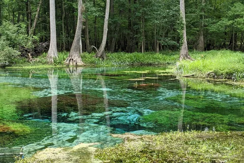 Gilchrist Blue Springs State Park