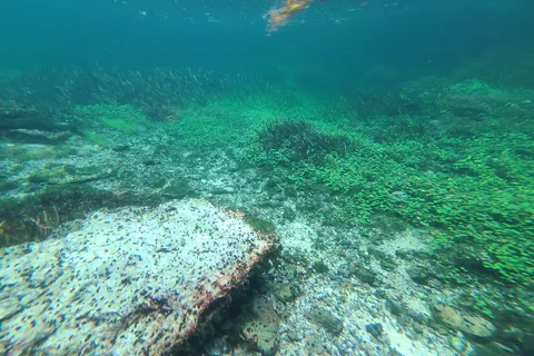 Gilchrist Blue Springs State Park