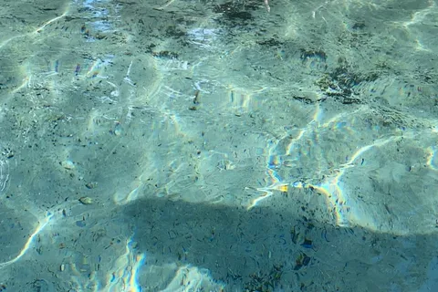 Gilchrist Blue Springs State Park