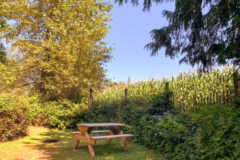 Wild Rose RV Park