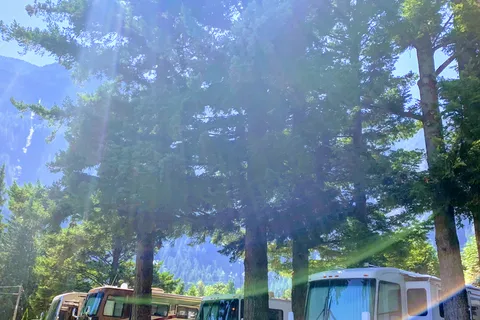 Wild Rose RV Park