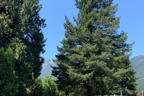 Wild Rose RV Park