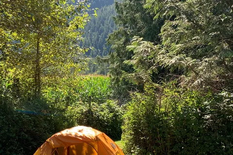 Wild Rose RV Park