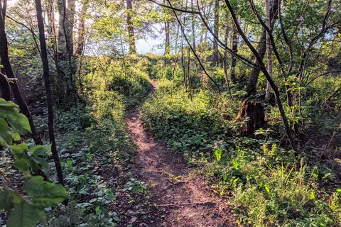 Childs Lake - Duck Mountain Provincial Park