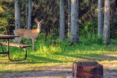 Childs Lake - Duck Mountain Provincial Park
