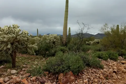 Mescal Mountains OHV Area