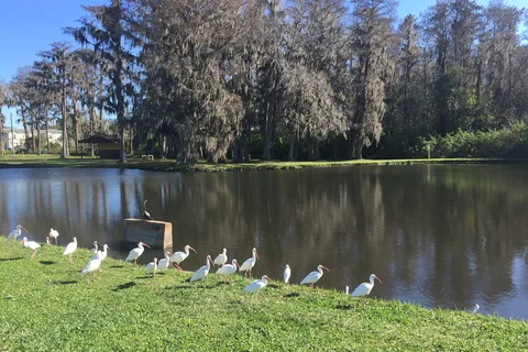 Stage Stop Campground