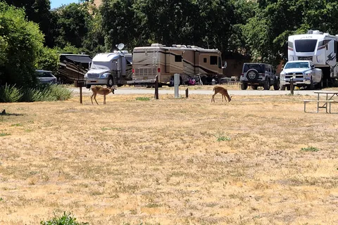 San Benito RV and Camping Resort