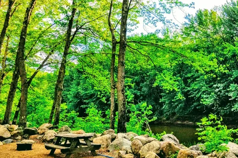 The Beach Camping Area