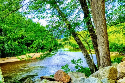 The Beach Camping Area