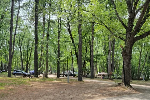 The Beach Camping Area