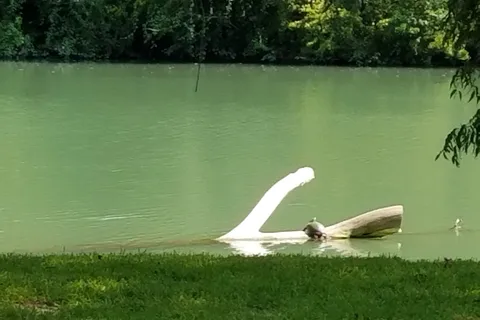Meadow Lake Resort