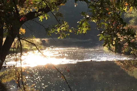Lizard Creek Campground