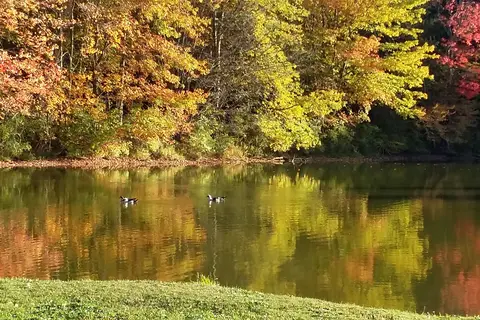 Cooperstown Family Campground