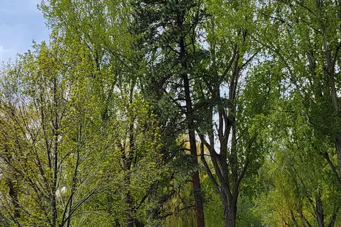 Conconully State Park