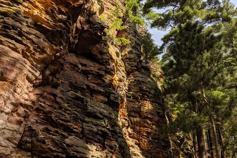 Roche-A-Cri State Park