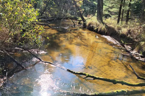 Roche-A-Cri State Park