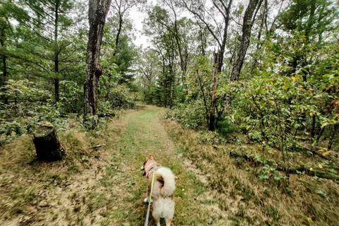Roche-A-Cri State Park
