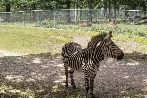 Safari RV Park