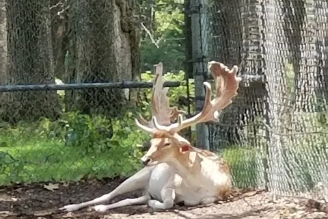 Safari RV Park