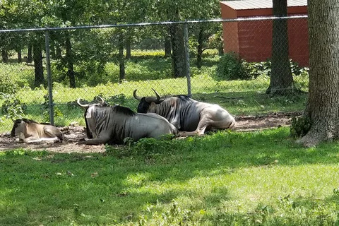 Safari RV Park