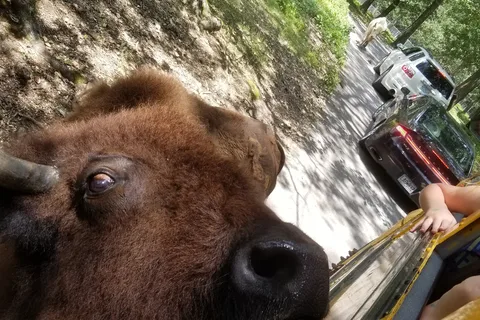 Safari RV Park