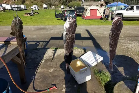 Albion River Campground