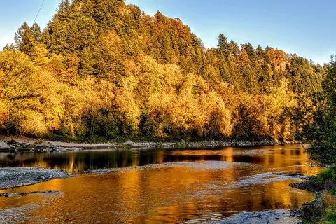 Sandy Riverfront RV Resort