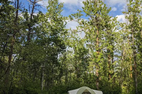Jarvis Bay Provincial Park