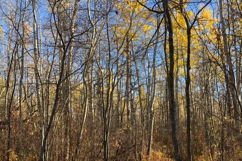 Jarvis Bay Provincial Park