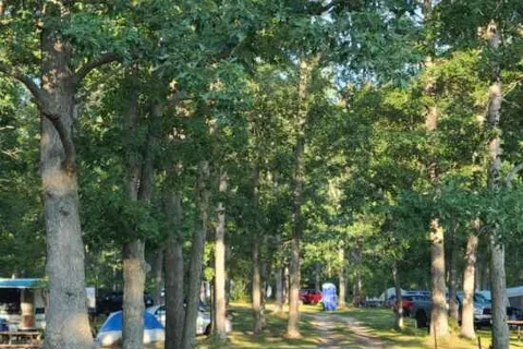 Karner Blue Campground