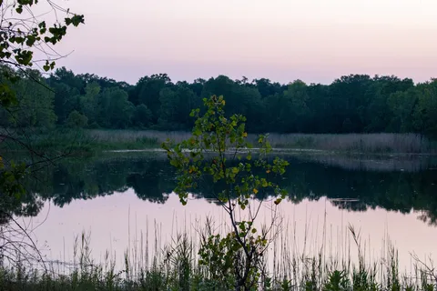 Karner Blue Campground