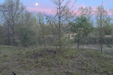 Karner Blue Campground