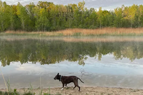Karner Blue Campground