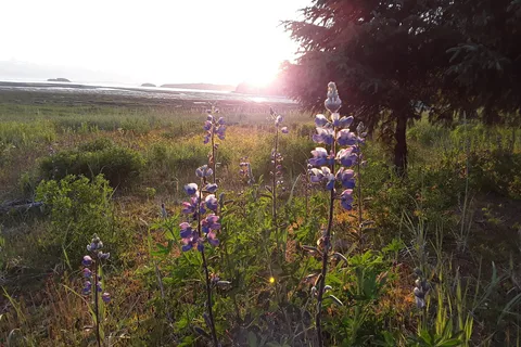 Eagle Beach State Recreation Site