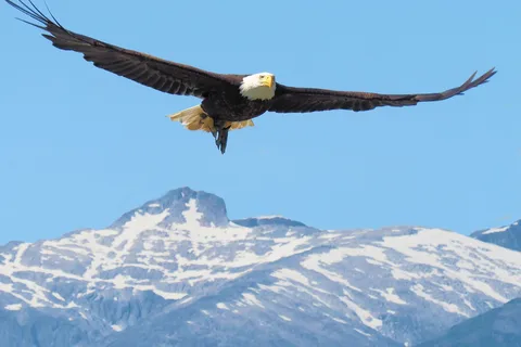 Eagle Beach State Recreation Site