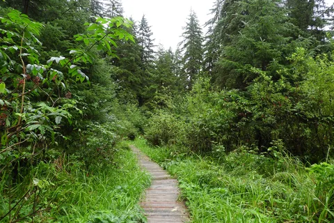 Eagle Beach State Recreation Site