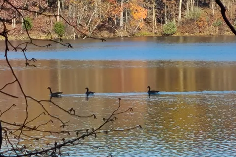 Lakeside - Lincoln Trail State Park