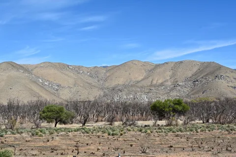 Lake Isabella / Kern River KOA
