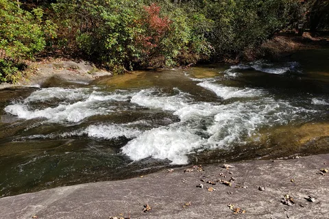 Palmetto Cove Inc RV Park