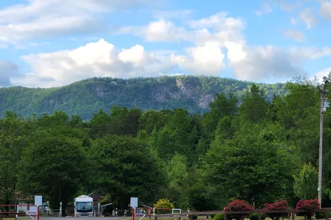 Palmetto Cove Inc RV Park