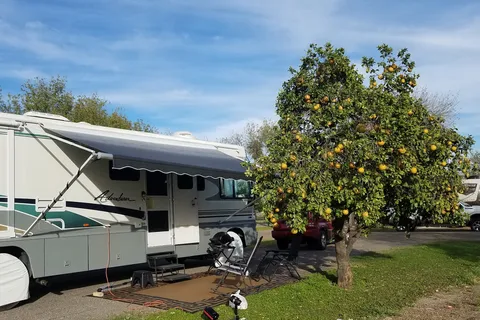 Bentsen Grove Resort Motorhome Park