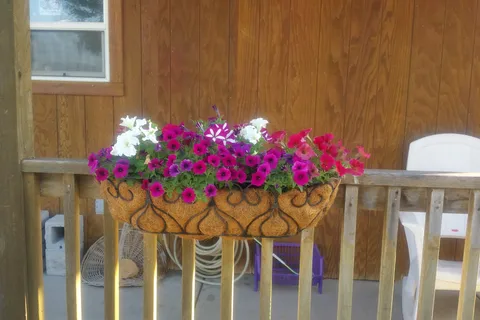 Forbes Landing RV Park