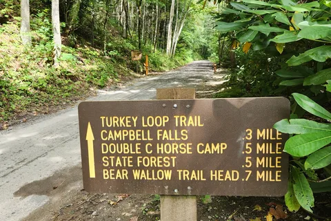 Mash Fork - Camp Creek State Park