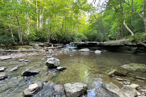 Mash Fork - Camp Creek State Park