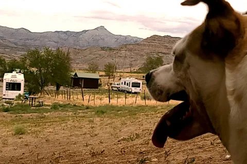 Grand Mesa RV Park
