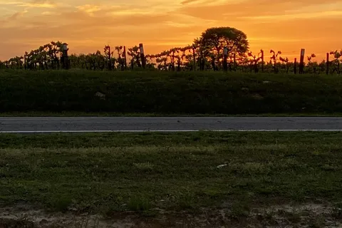 Grape Country RV Park