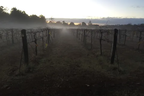 Grape Country RV Park
