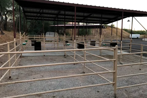 Loose Horse RV Park