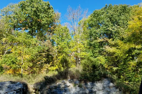 Jenny Jump State Forest